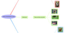 ANIMAL CLASSIFICATION BY FOOD