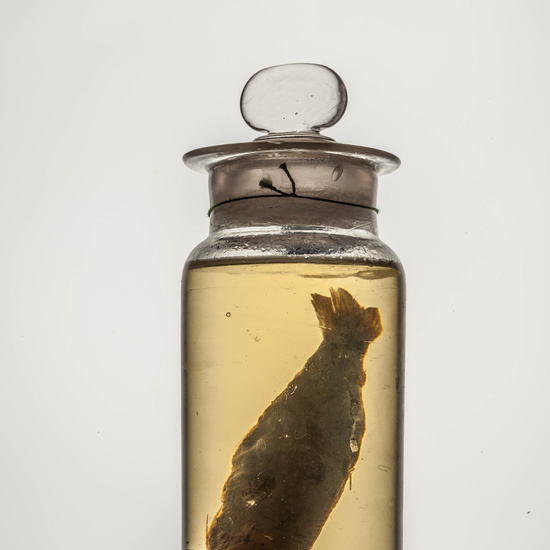 IES_CARDENALCISNEROS_CIENCIASNATURALES_107