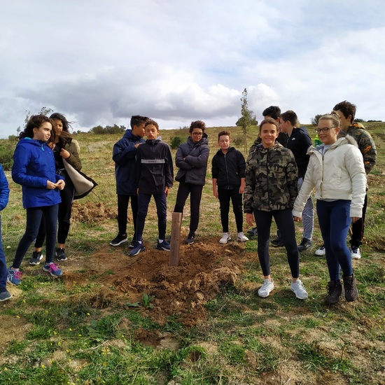 Plantación en el parque forestal de Valdebebas 2019 1