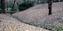 Lecho de hojas, Parque del Capricho, Madrid