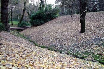 Lecho de hojas, Parque del Capricho, Madrid