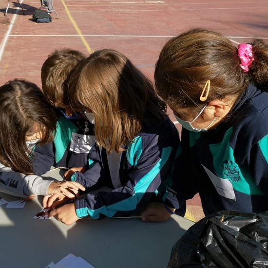 Hotel de insectos 17