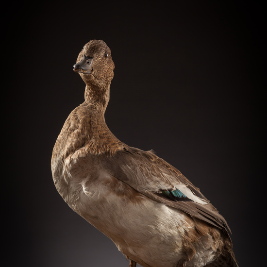 IES_CERVANTES_BIOLOGIA_051