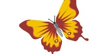 Mariposa