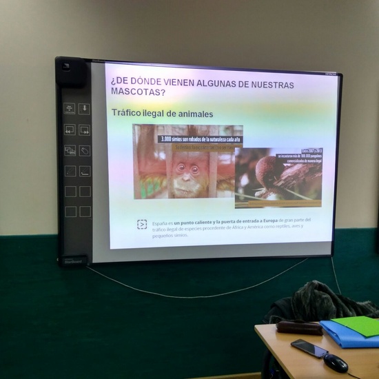 Amar el planeta - Taller de mascotasAMAR EL PLANETA: TALLER DE MASCOTAS. DEP. BIOLOGÍA 3