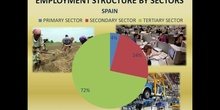PIE CHART - EMPLOYMENT STRUCTURE