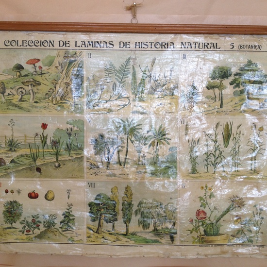 EXPOSICIÓN 50 ANIVERSARIO 39