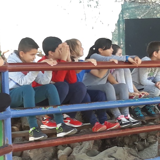 NOCHE MÁGICA 2019 (2ª parte) 26