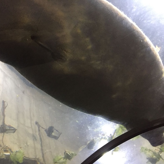 Faunia: taller y visita guiada 19