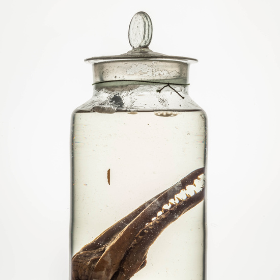 IES_CARDENALCISNEROS_CIENCIASNATURALES_283