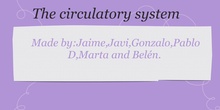 CIRCULATORY SYSTEM 2