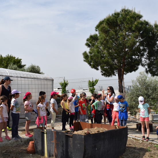 Siembra Huerta Balta 5 años 2018 31