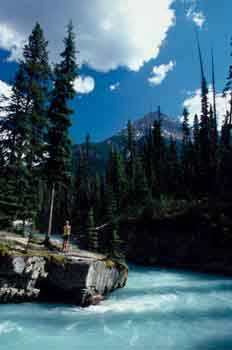 Río en las Montañas Rocosas, Canadá