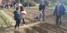 1º de Primaria_Plantamos garbanzo  12