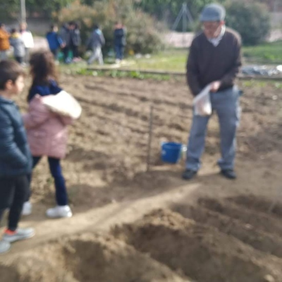 1º de Primaria_Plantamos garbanzo  12