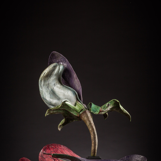 IES_ISABELLACATOLICA_BIOLOGIA_169