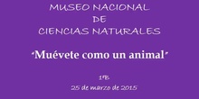 Museo Nacional de Ciencias Naturales 1ºB