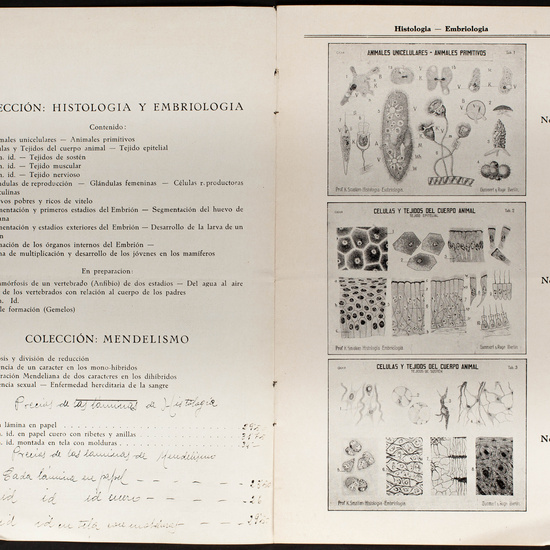 IES_CARDENALCISNEROS_CATALOGOS_019