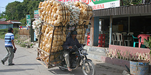 Transporte de mercancias, Batak, Sumatra, Indonesia