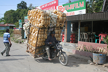 Transporte de mercancias, Batak, Sumatra, Indonesia