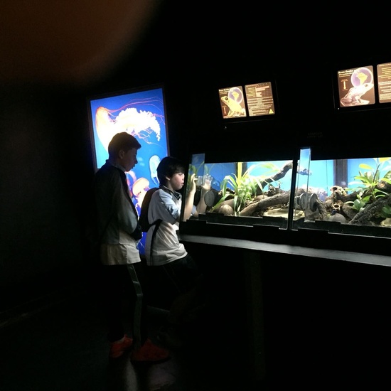 Faunia: taller y visita guiada 1