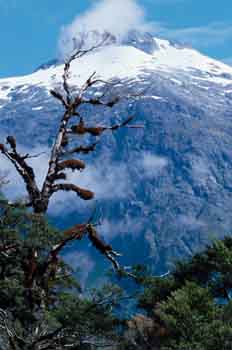 Monte Taranaki, Nueva Zelanda