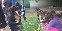 2019_05_Los alumnos de 4º en el Huerto_CEIP FDLR_Las Rozas 13