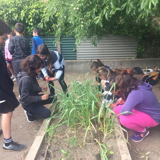 2019_05_Los alumnos de 4º en el Huerto_CEIP FDLR_Las Rozas 13