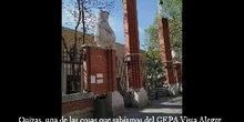 Mentor Actúa CEPA VISTA ALEGRE 2021