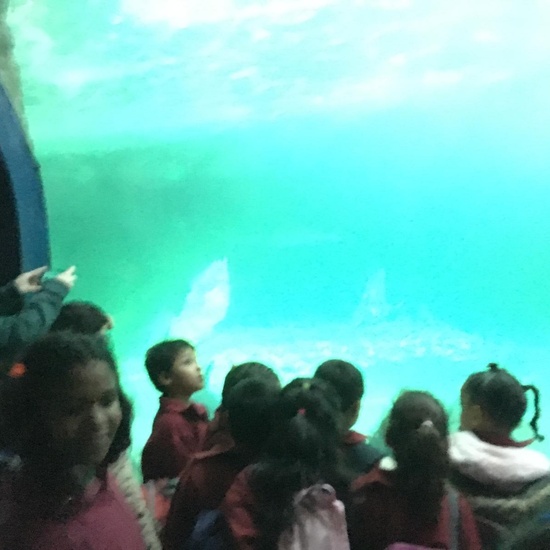 Excursión al zoo 5 años, 1º y 2º Luis Bello 31