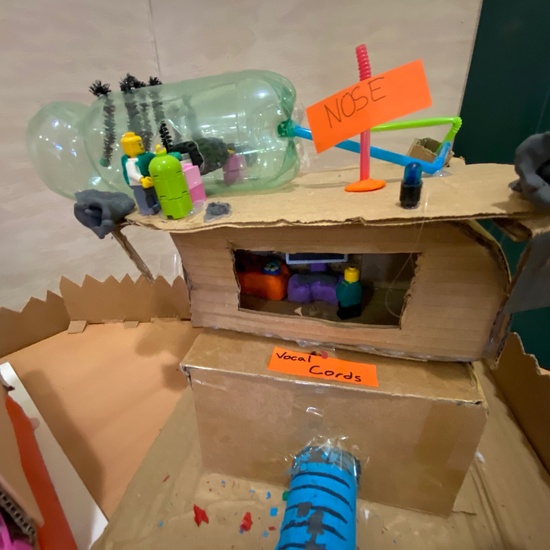 Digestive Sysyem (6º) 3