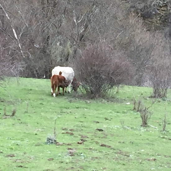 Senderismo 1º ESO 16