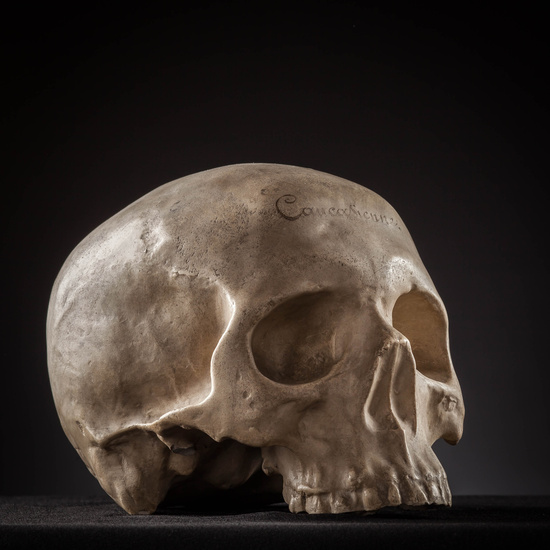 IES_SANISIDRO_MUSEO_Craneos_030