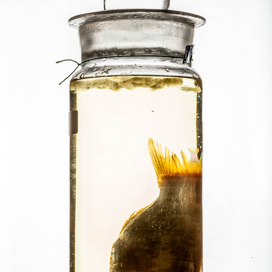 IES_CARDENALCISNEROS_CIENCIASNATURALES_388