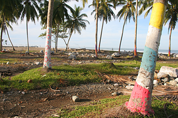 Zócalos de casas y palmeras pintadas, Melaboh, Sumatra, Indonesi