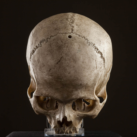 IES_ISABELLACATOLICA_BIOLOGIA_581