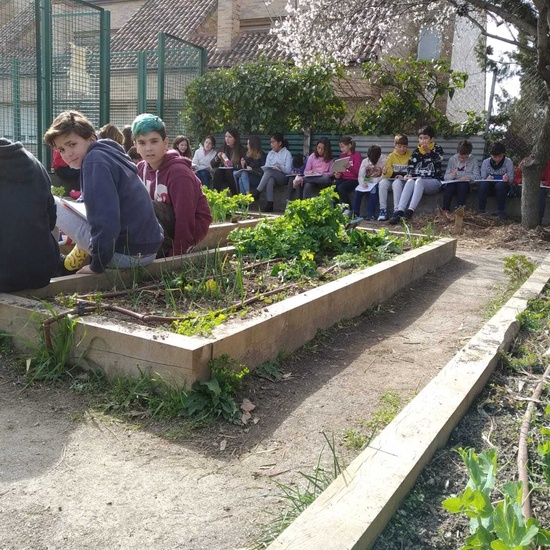 2019_02_24_Quinto termina febrero con las actividades de huerto_CEIP FDLR_Las Rozas_2019 18