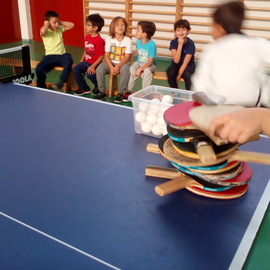 ping-pong 12
