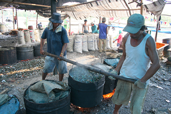 Cociendo mejillones, Jakarta