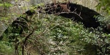Puente del conjunto de Puente de Los Fierros, Pola de Lena, Prin