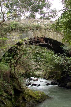 Puente del conjunto de Puente de Los Fierros, Pola de Lena, Prin