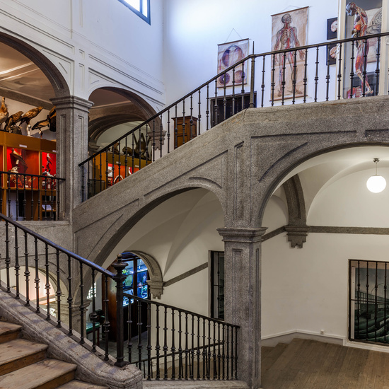 IES_SANISIDRO_MUSEO_004