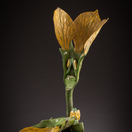 IES_ISABELLACATOLICA_BIOLOGIA_048