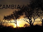 ZAMBIA- Manuela R.
