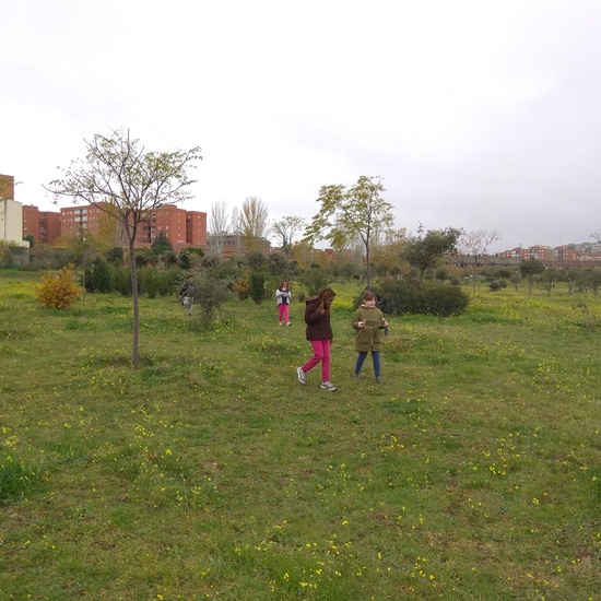 REVOLOTEANDO POR BOSQUE SUR -  3º PRIMARIA (CURSO 19/20) 8