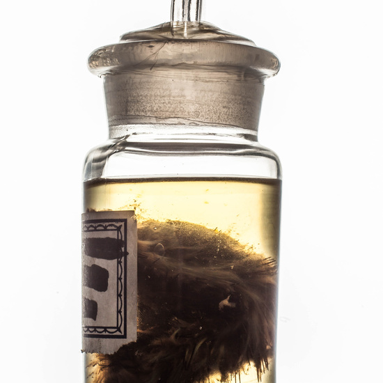 IES_SANISIDRO_MUSEO_BOTES_041