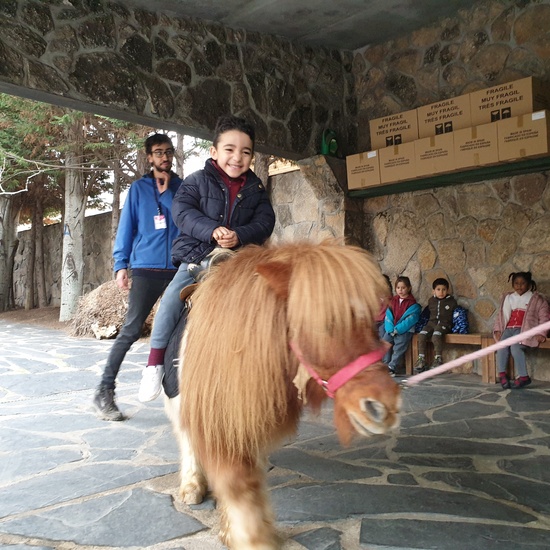 Excursión a la granja (Infantil) 10