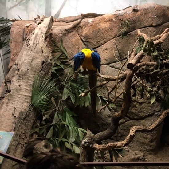 Parque de la Naturaleza. Faunia. 5º Curso. 17