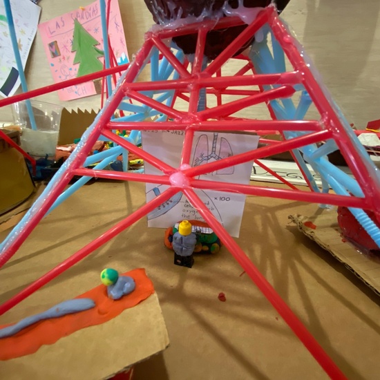 Digestive Sysyem (6º) 2