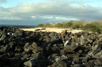 Litoral rocoso en la Isla San Cristóbal, Ecuador